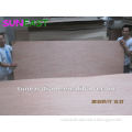 stock 1.6mm PLB face patch work red hardwood back commercial plywood MR glue one time press
